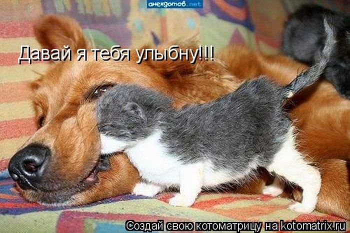 Мысли вслух :)
