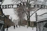 «I’ll be back» в Освенциме. Арнольд Шварценеггер вспомнил о папе-нацисте?