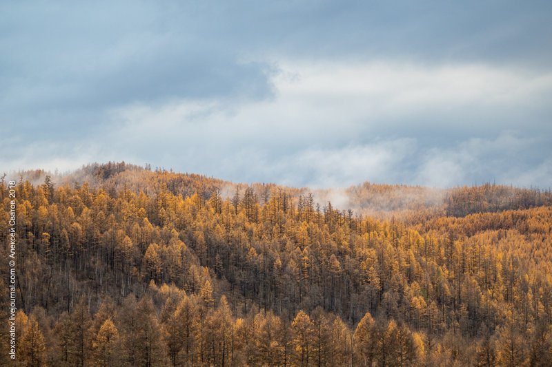 Марь. Джергинский караул путешествия, факты, фото