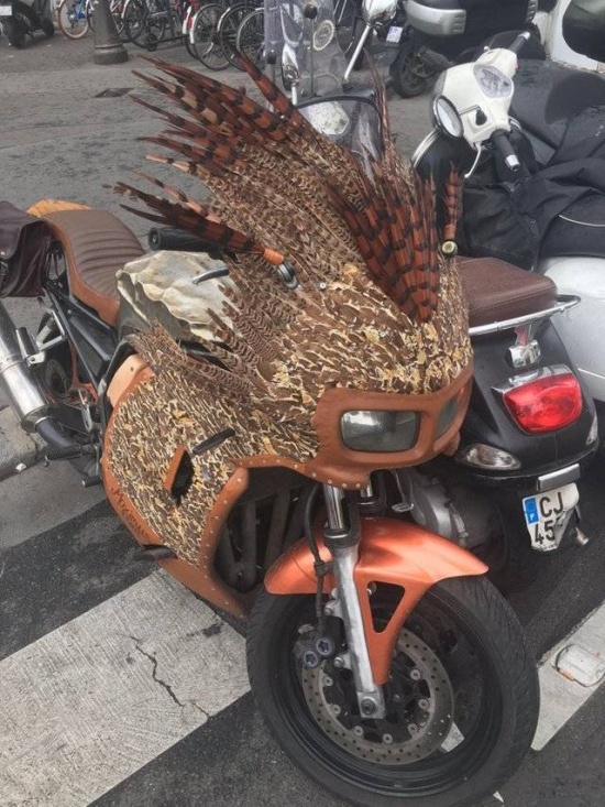 Подборка прикольных картинок  смешные картинки