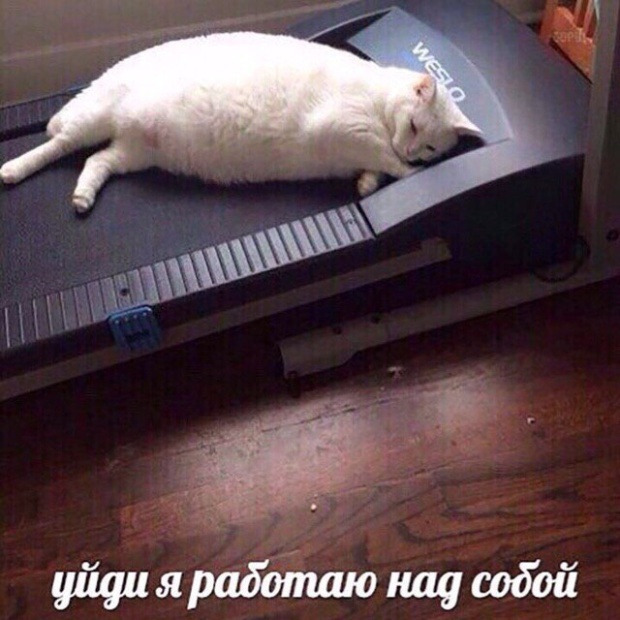 Подборка прикольных картинок  смешные картинки