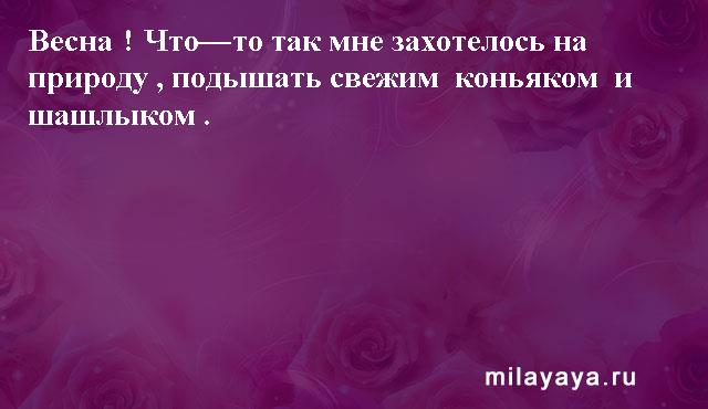 Картинки со статусами. Подборка milayaya-status-milayaya-status-58080215092020-17 картинка milayaya-status-58080215092020-17