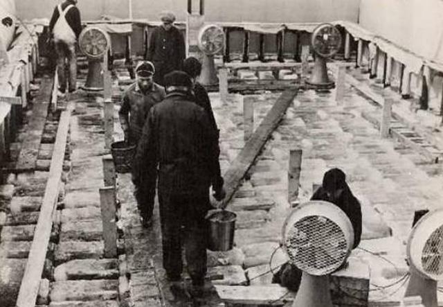 Уинстон Черчилль хотел построить авианосец изо… льда история