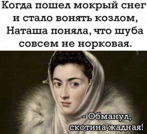 Самые лучшие забавные картинки Самые лучшие забавные картинки