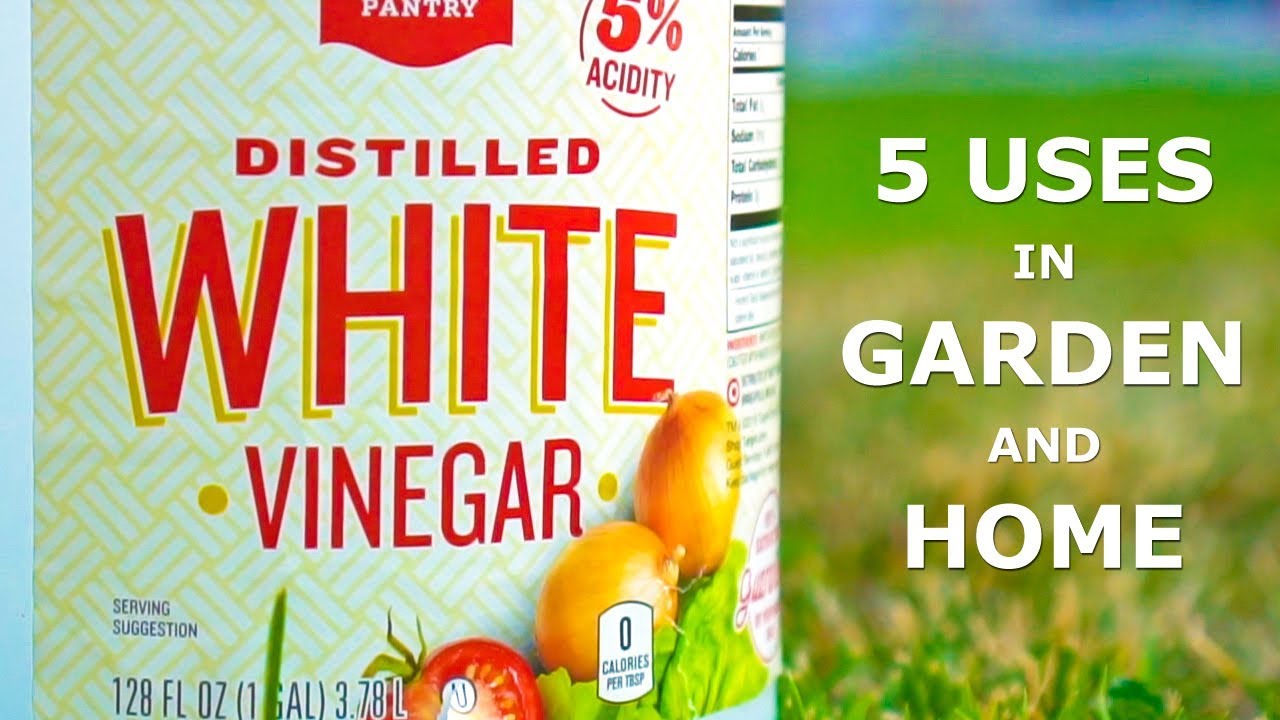 5 Uses of Vinegar in Garden and Home