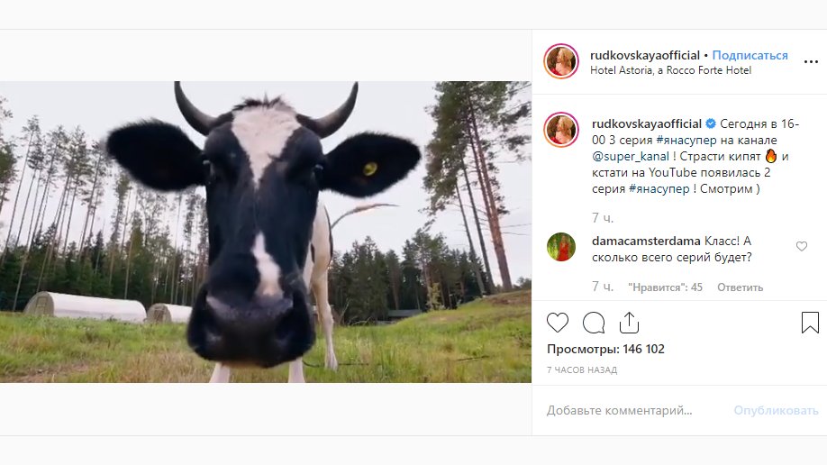 Плющенко купил корову и потребовал от Рудковской оставить его в покое