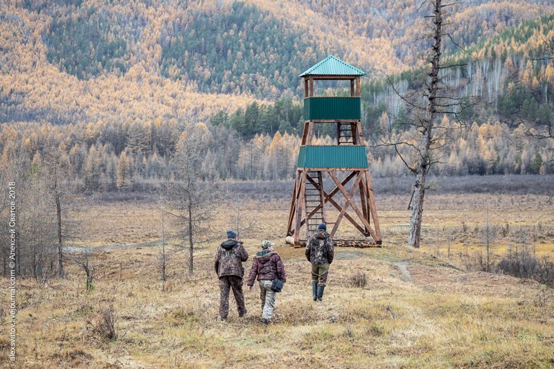 Марь. Джергинский караул путешествия, факты, фото