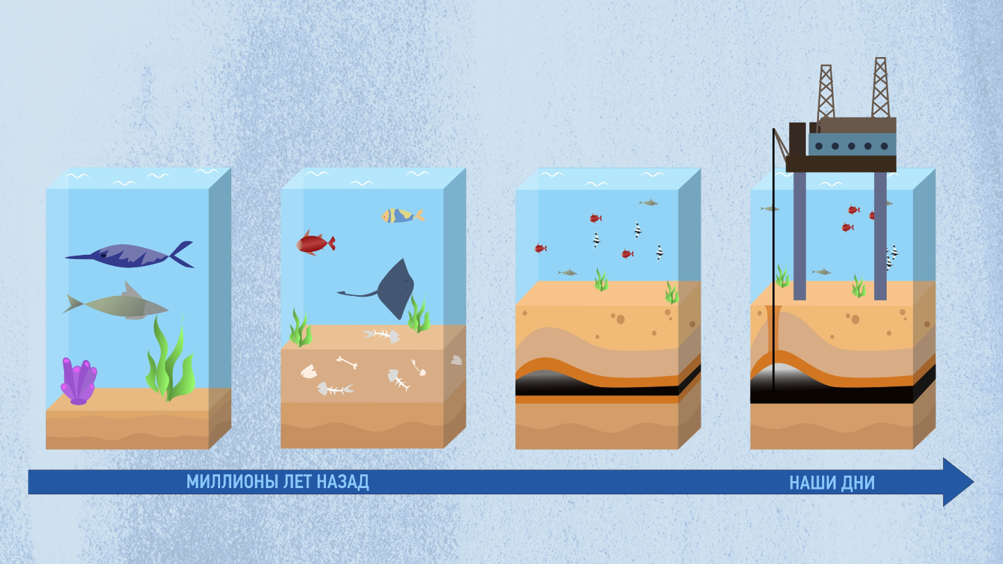 Почему нефть называют черным золотом: 7 интересных фактов нефть, нефти, Нефть, нашей, делают, является, сырье, переработки, около, которое, нефтяные, множество, древней, вещество, которых, мазут, используют, входят, компоненты, состав