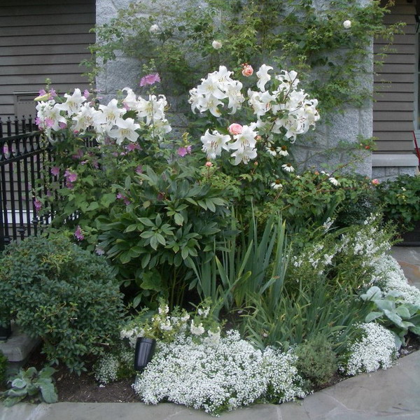 landscape-design-for-romantics4-2