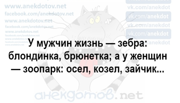 Подборка четкого юмора из сети юмор,приколы,Юмор,картинки приколы,приколы,приколы 2019,приколы про