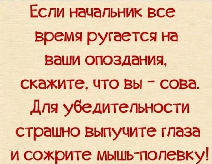 Начальник приколы картинки