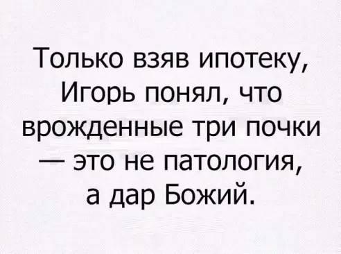 Дачник через забор спрашивает у своего соседа 