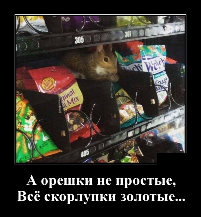 Новые демотиваторы демотиваторы