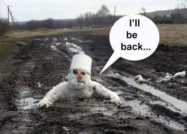 Смешные картинки в ассортименте 