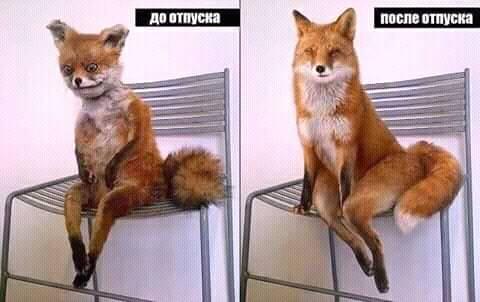 В Африке за плохое поведение детей ставят в угол, а за хорошее - в тенёк анекдоты