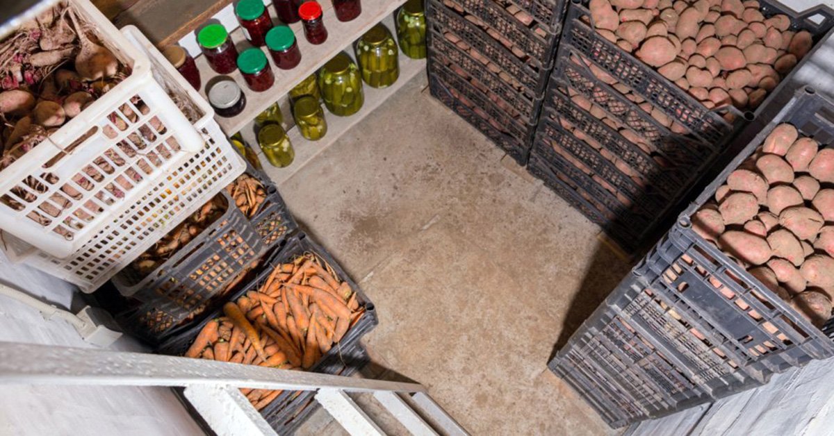 : Fresh potatoes, carrots and canned vegetables in the cellar