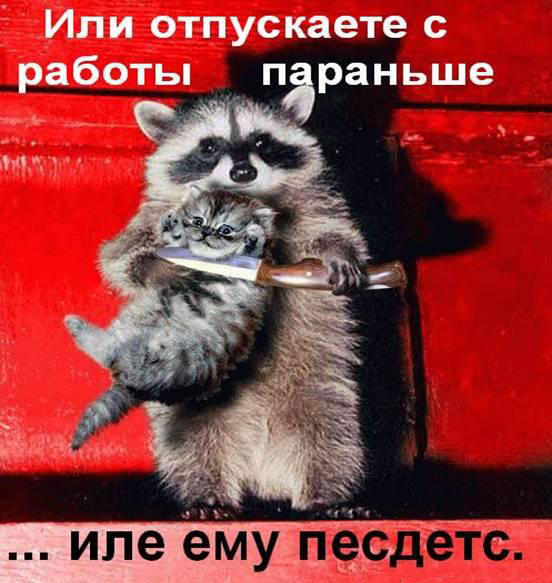 Для открыток, отпустите домой картинки прикольные