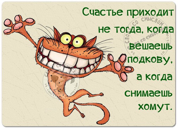 Трудно в темной комнате найти черные носки, если они не пахнут                                 
