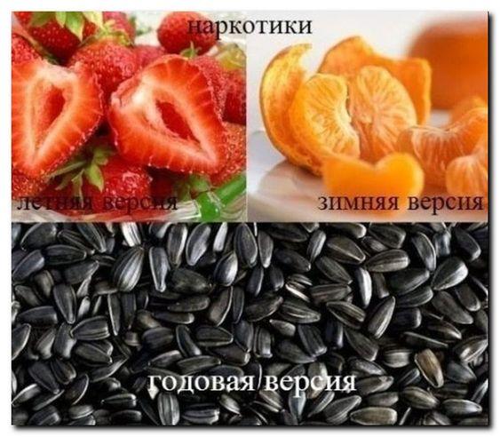 Самые лучшие забавные картинки Самые лучшие забавные картинки