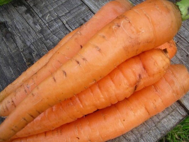 На фото морковь