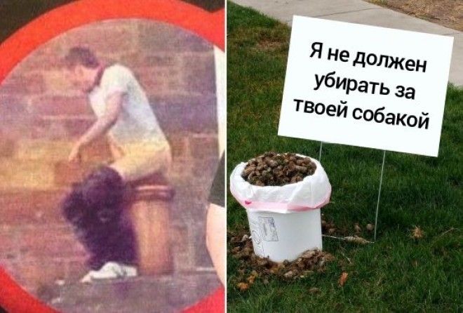 Когда легче преехать, чем договориться.