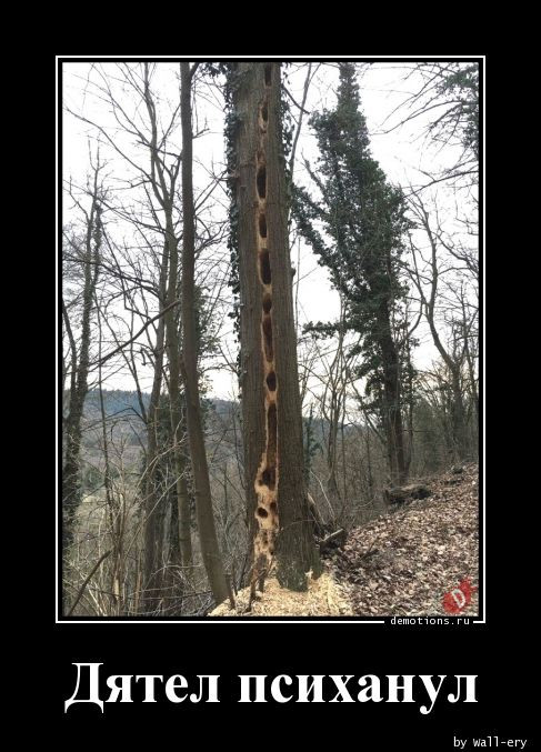 Демотиваторы для всех: «Чё вылупился?» Демотиваторы для всех: «Чё вылупился?»