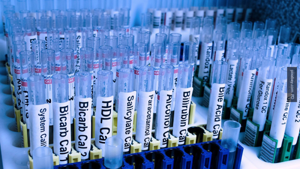 В лживом WADA пожалели о быстром решении МОК по России В лживом WADA пожалели о быстром решении МОК по России
