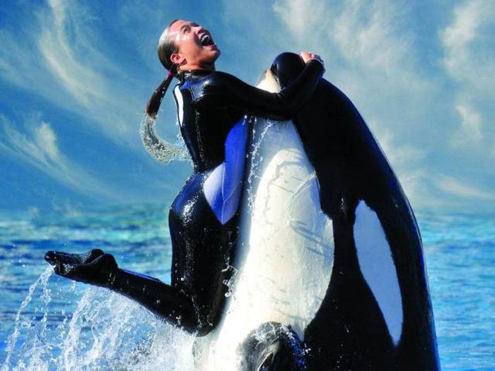 Позитивные и смешные картинки из жизни Позитивные и смешные картинки из жизни