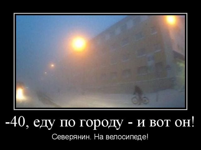 Лучшие демотиваторы!