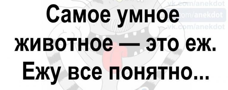 Сборник смешных и жизненных историй — сетевой позитив для отличного дня Сборник смешных и жизненных историй — сетевой позитив для отличного дня