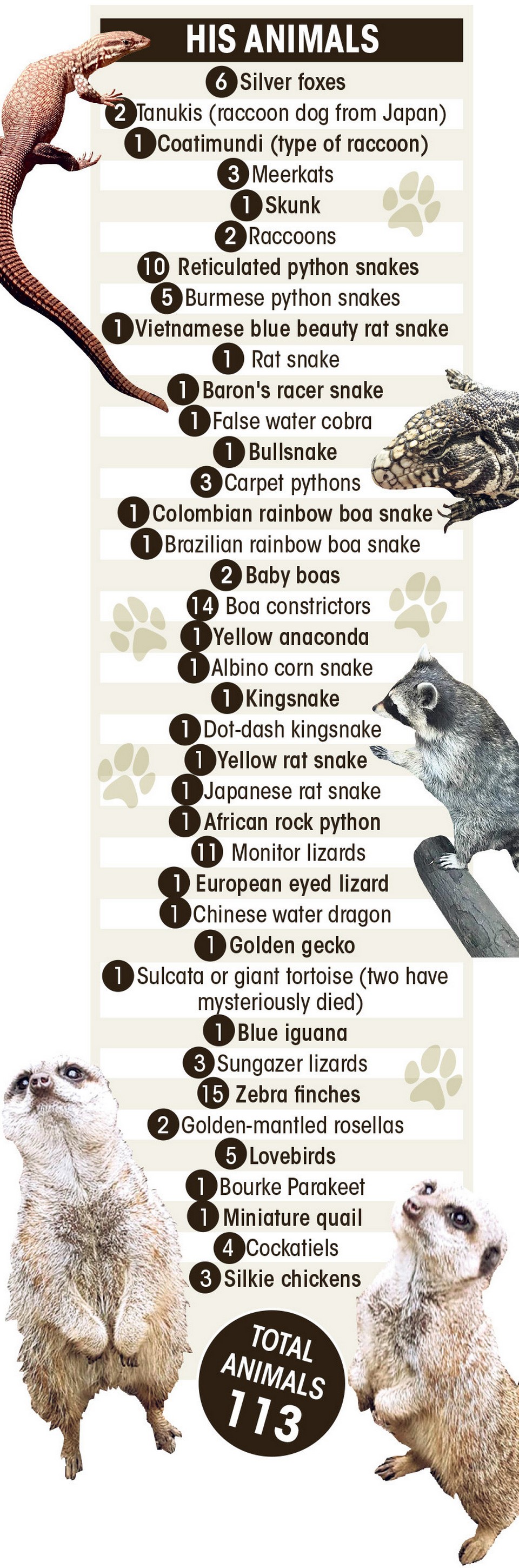 У любителя зверушек изъяли 113 экзотических домашних животных после ссоры с женихом У любителя зверушек изъяли 113 экзотических домашних животных после ссоры с женихом животные