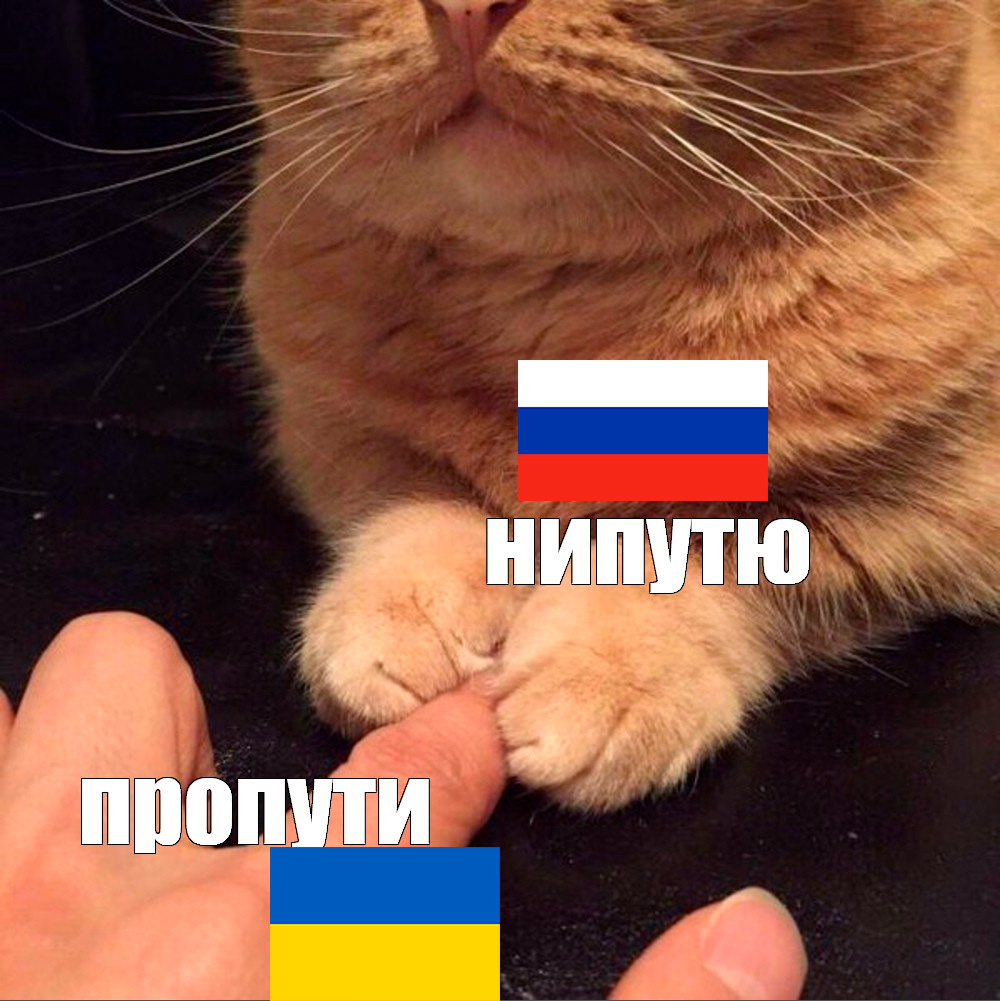 Отпути не путю но кому я говорю. Пути нипутю. Нипутю кот. Нипутю кот Мем. Котик НЕПУТЮ.