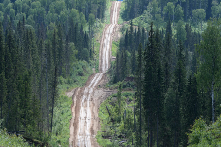 Двинско-Пинежский заказник: как исчезают первозданные леса путешествие,Россия,туризм,экология