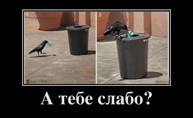 Лучшие демотиваторы!
