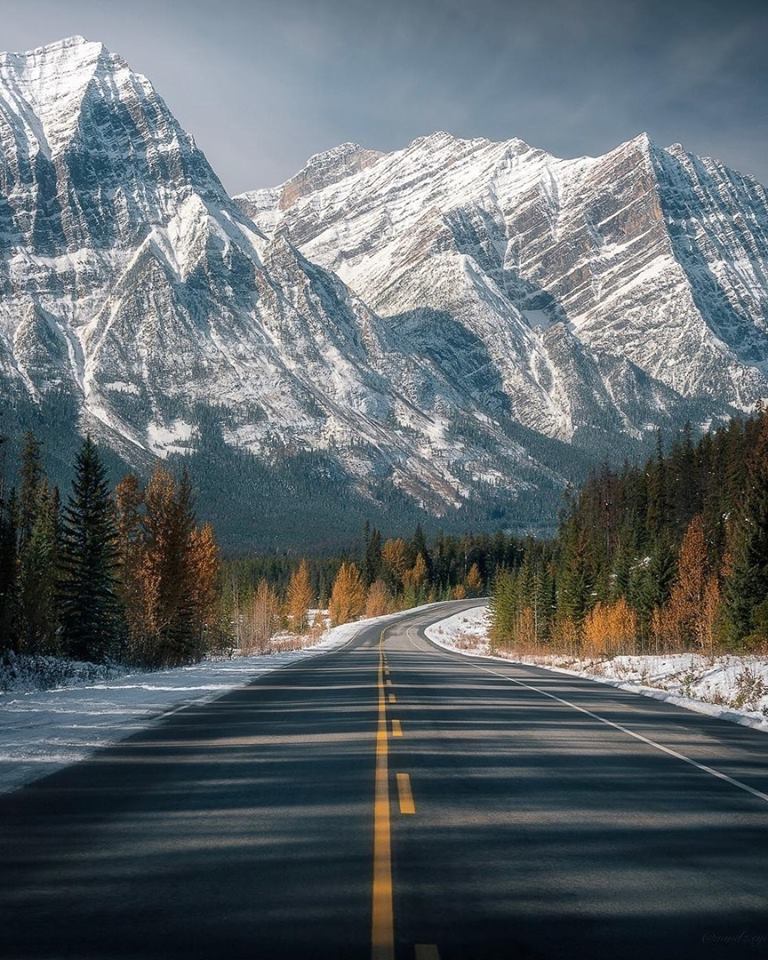 Ни одна травля не закончится