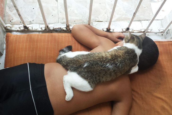 Смешные зверьки 