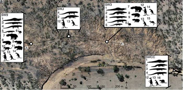  Эти окаменелости были разбросаны по четырем отдельным участкам раскопок.