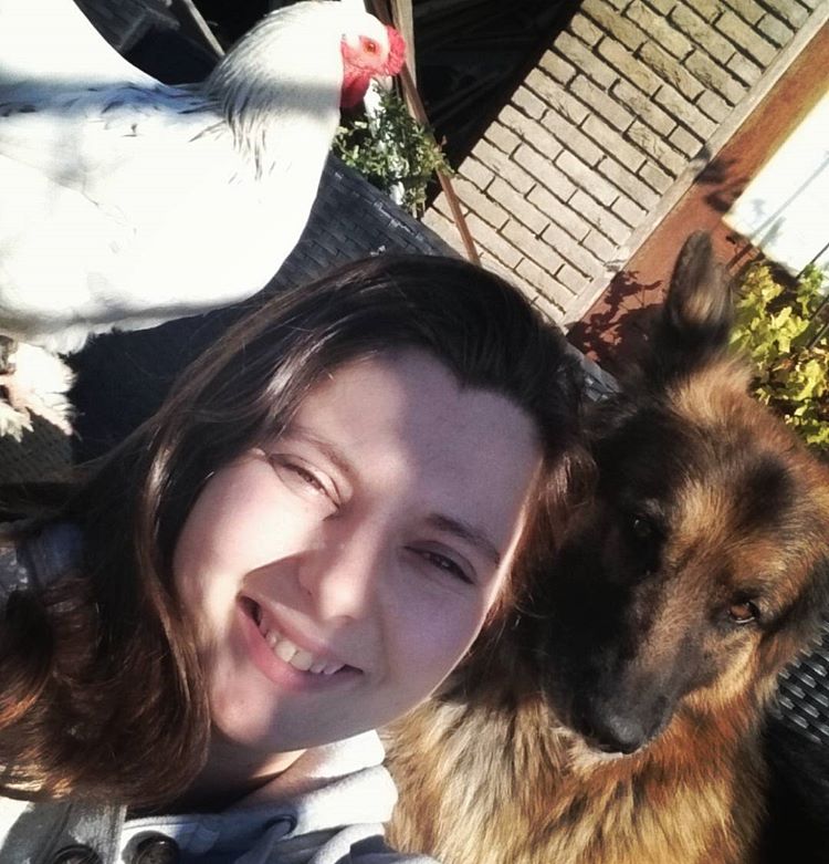 Жительница Германии спасла молодого петуха от съедения и подружила с собаками