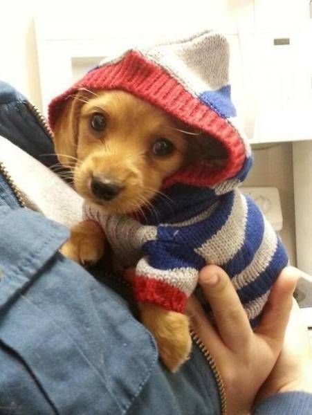 Прикольные картинки дня (50 шт)