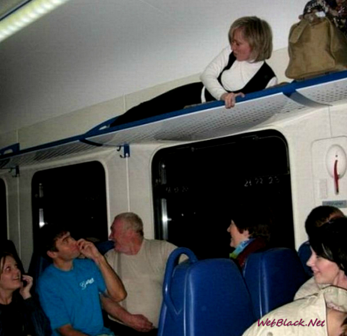 Краски жизни: 17 курьезных ситуаций, которые заставят улыбнуться