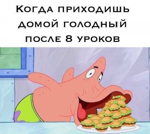 Лучшие фотомемы
