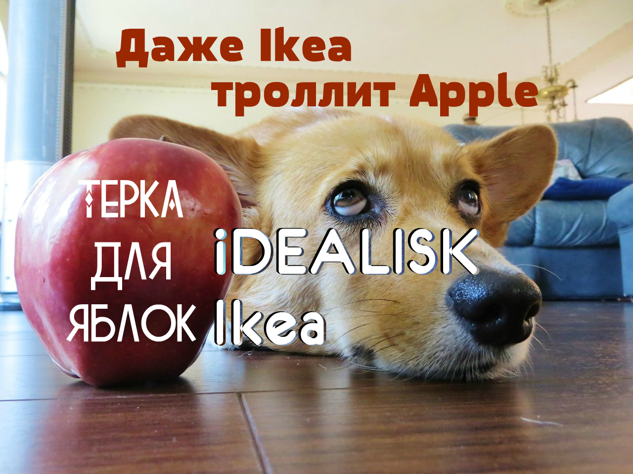 Терка iDEALISK Ikea. Даже Ikea троллит новый Apple Mac apple,компьютеры