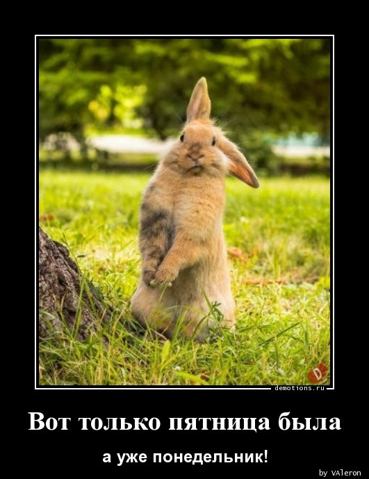 Демотиваторы для всех: «Чё вылупился?» Демотиваторы для всех: «Чё вылупился?»