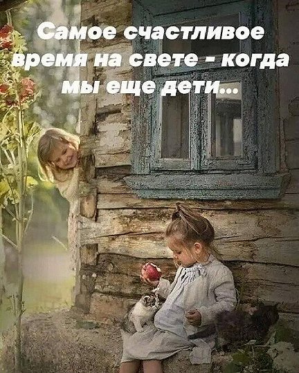 Подборка шуток для настроения Подборка шуток для настроения