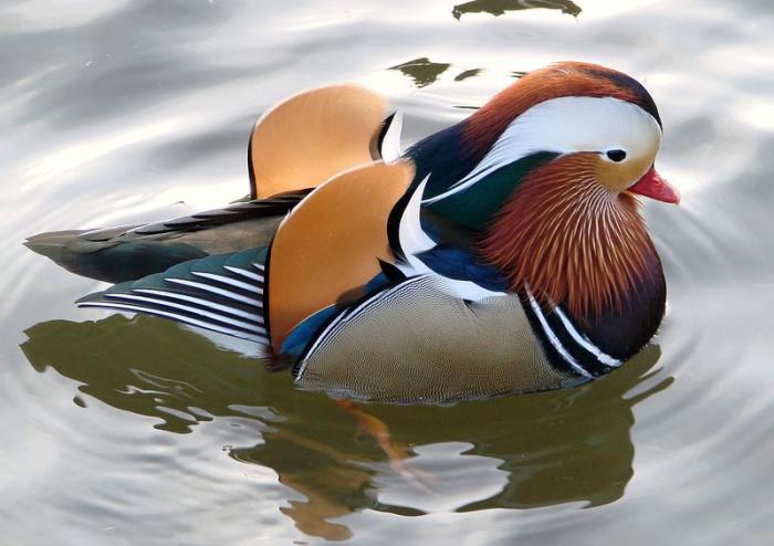 Природная красота в фотографиях красивые фотографии,шикарные фотографии