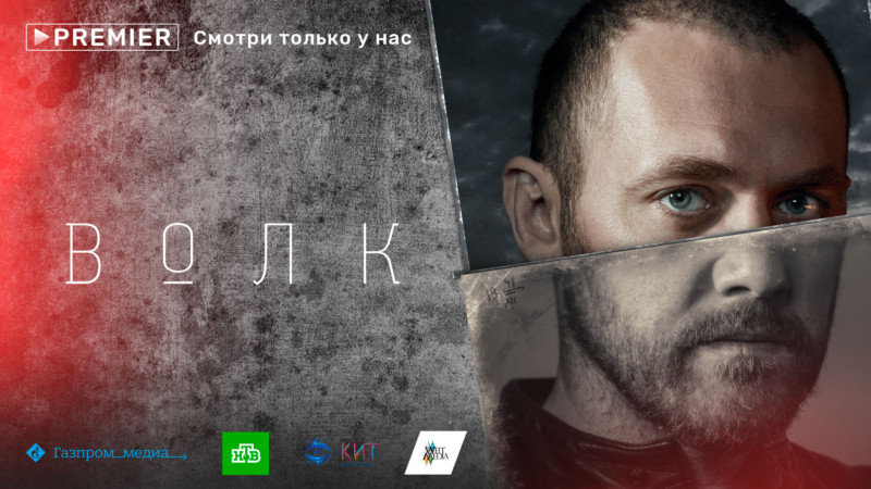 Вышел трейлер российского сериала «Волк» с Денисом Шведовым
