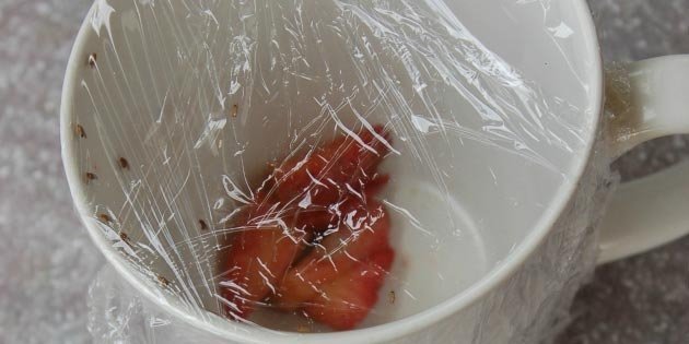 Несколько интересных и практичных способов использования пищевой пленки Несколько интересных и практичных способов использования пищевой пленки домовдство