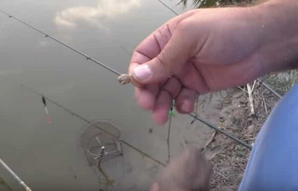 Насадку из халвы можно сделать прямо на рыбалке