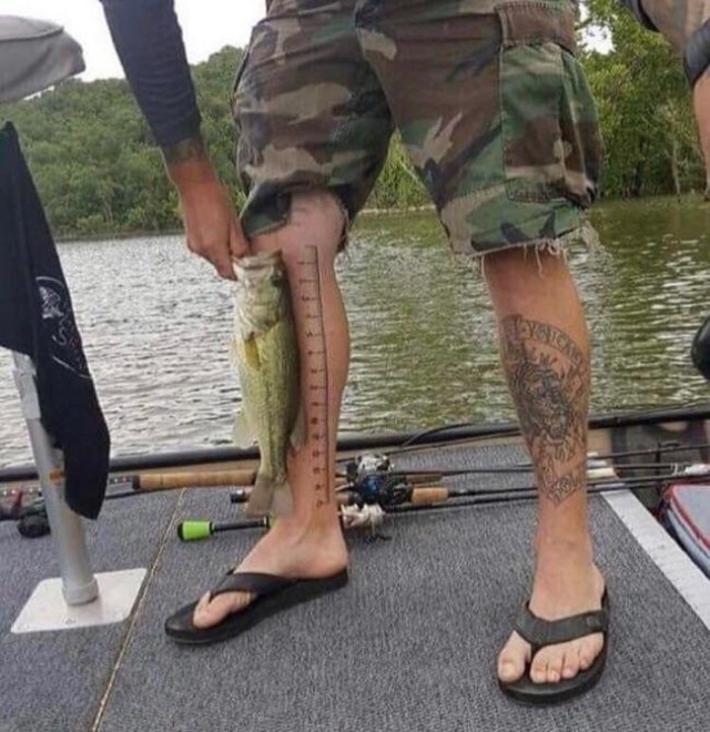 Подборка прикольных картинок  смешные картинки