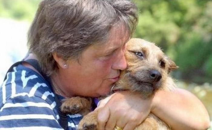 Собака на дереве Собака на дереве